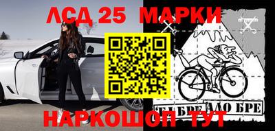скорость Кингисепп