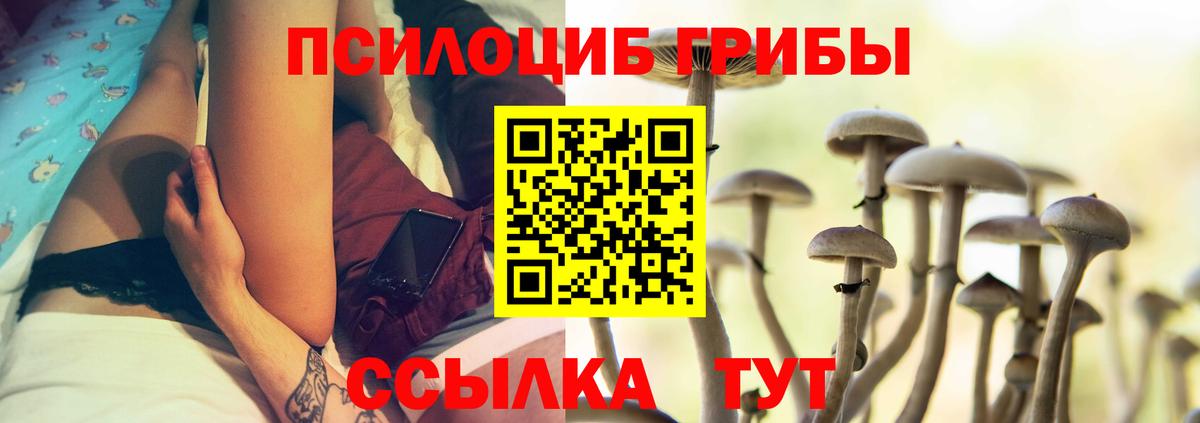 Краснодар  Псилоцибиновые грибы Psilocybine cubensis  Вход с VPN  Галлюциногенные грибы ЛСД 